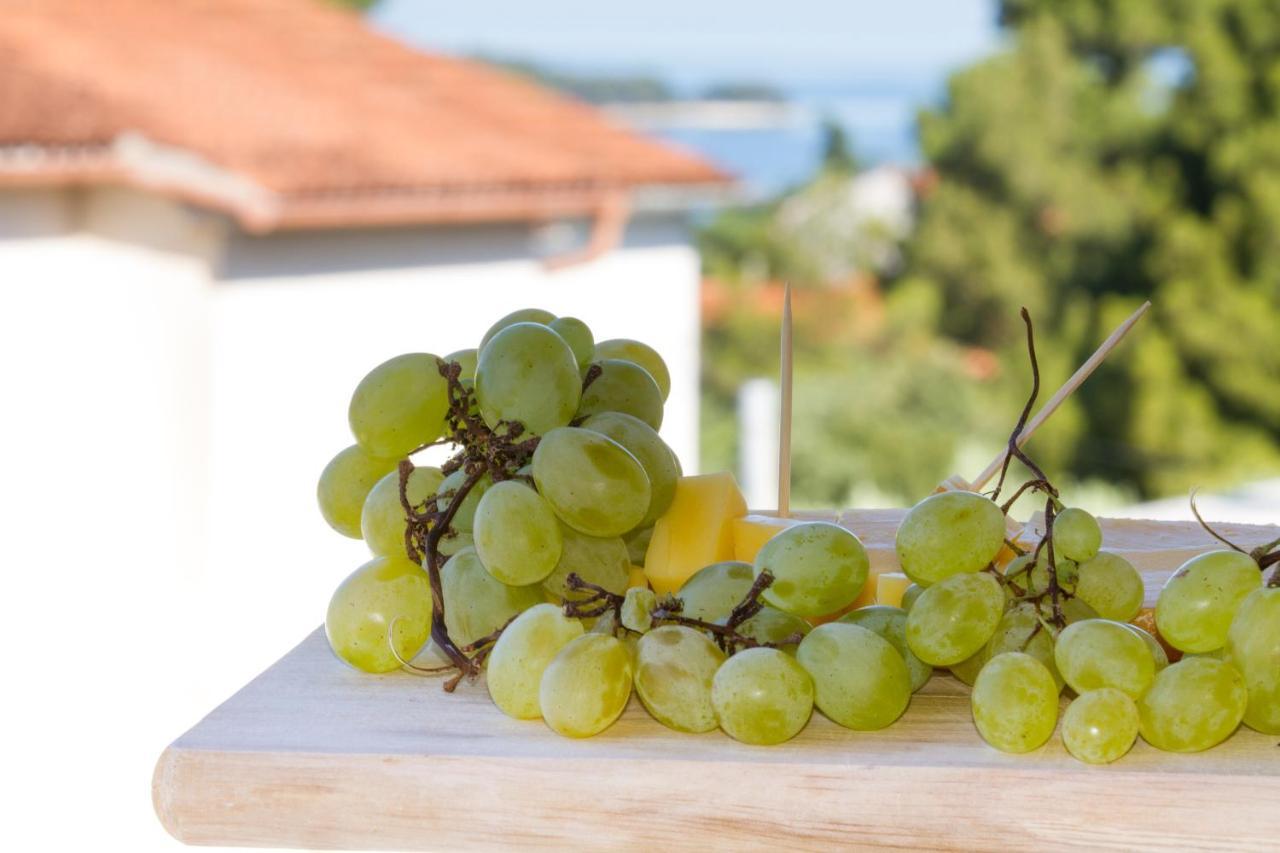 Studio Apartman Nega 2 Rovinj Zewnętrze zdjęcie