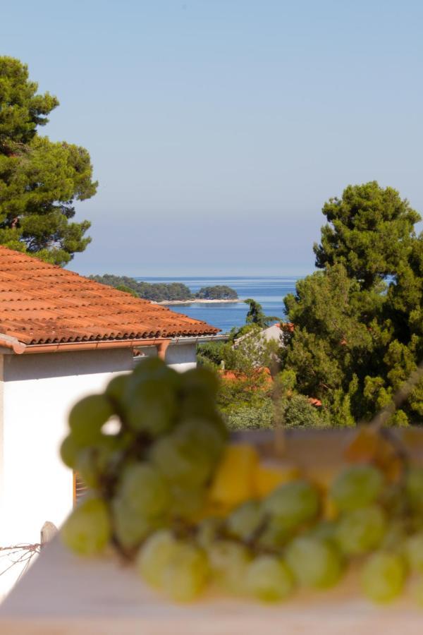 Studio Apartman Nega 2 Rovinj Zewnętrze zdjęcie