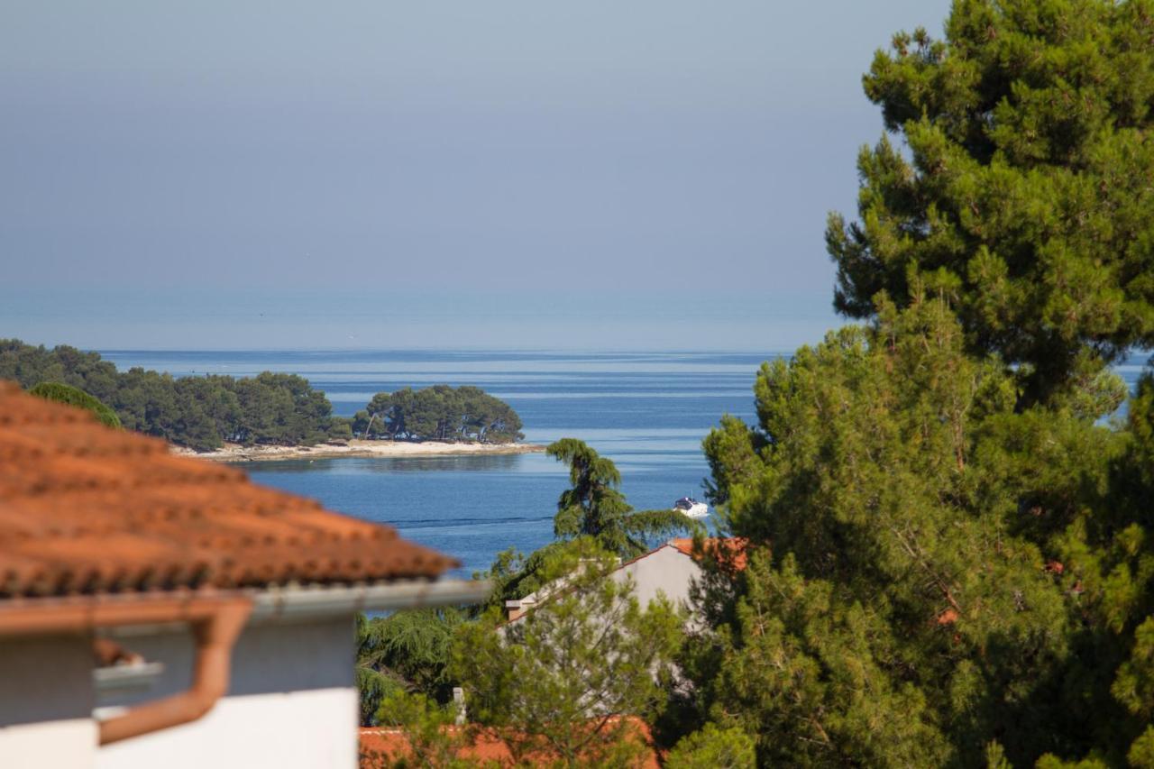 Studio Apartman Nega 2 Rovinj Zewnętrze zdjęcie
